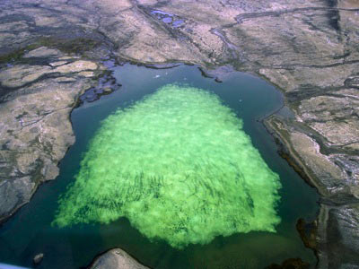 Green Ice, Ravens, Ice Caves And The Movie “Contact”