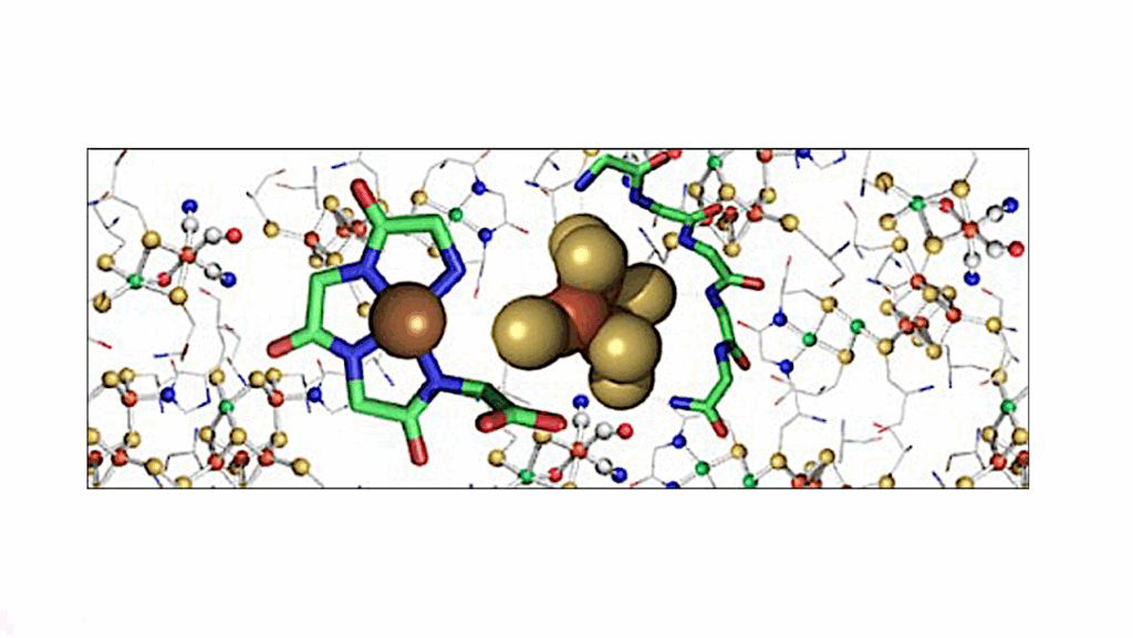 The Antiquity of Metalloenzymes