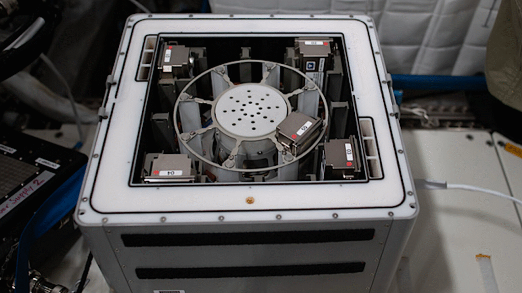 BioAsteroid Payload On Orbit