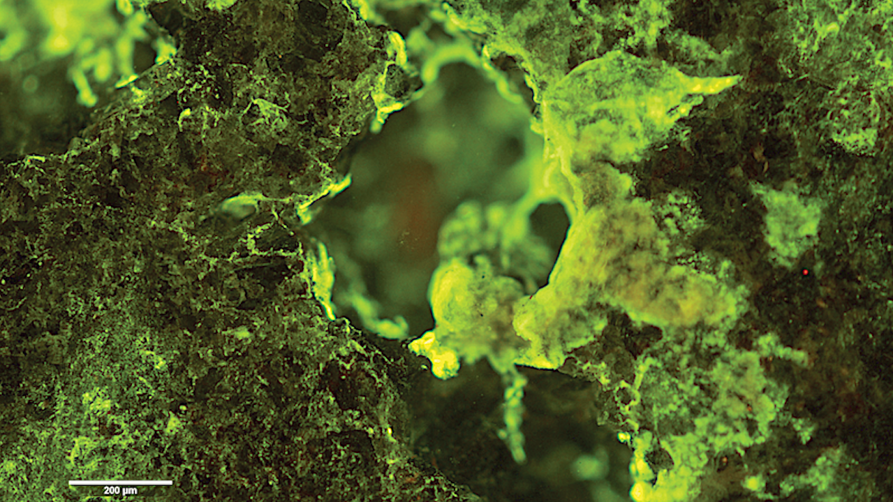 Biomining Vanadium Aboard The International Space Station