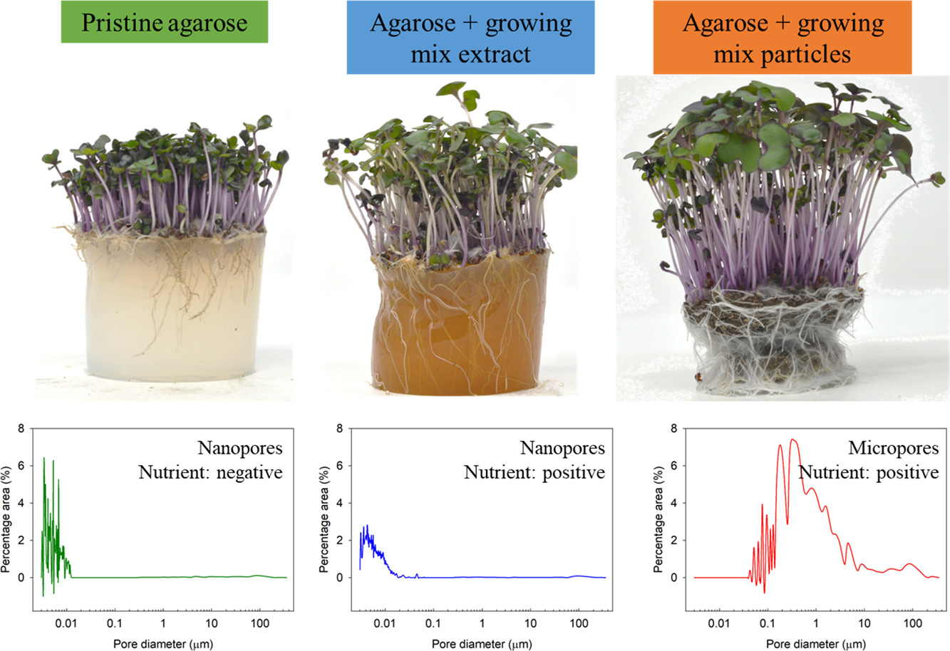 An Agarose Hydrogel Composite Has Possible Applications For Space Farming