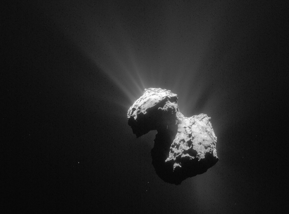 Modelling The Water And Carbon Dioxide Production Rates Of Comet 67P/Churyumov-Gerasimenko