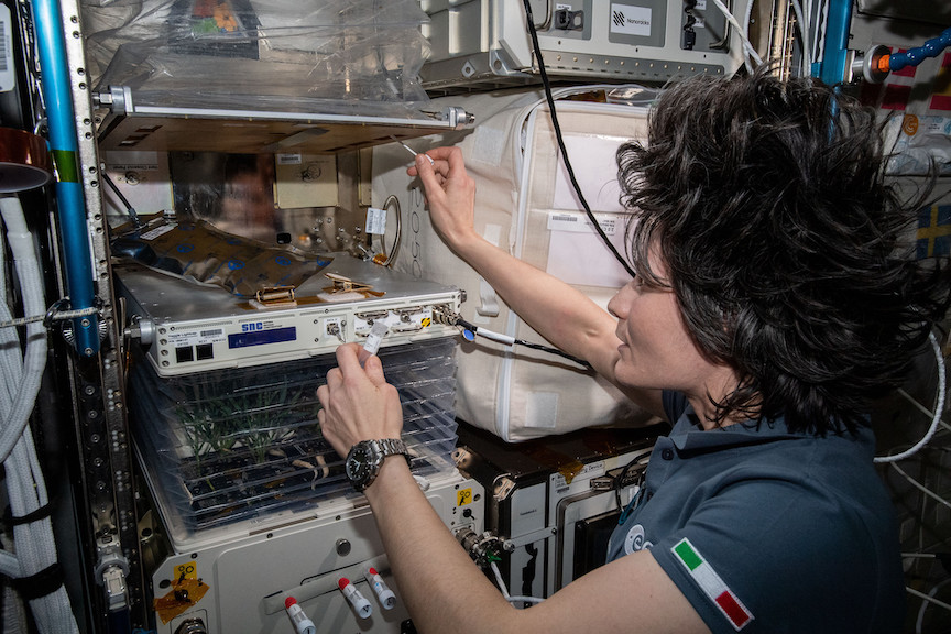 Collecting Microbe Samples Around The Veggie Space Botany facility On ISS