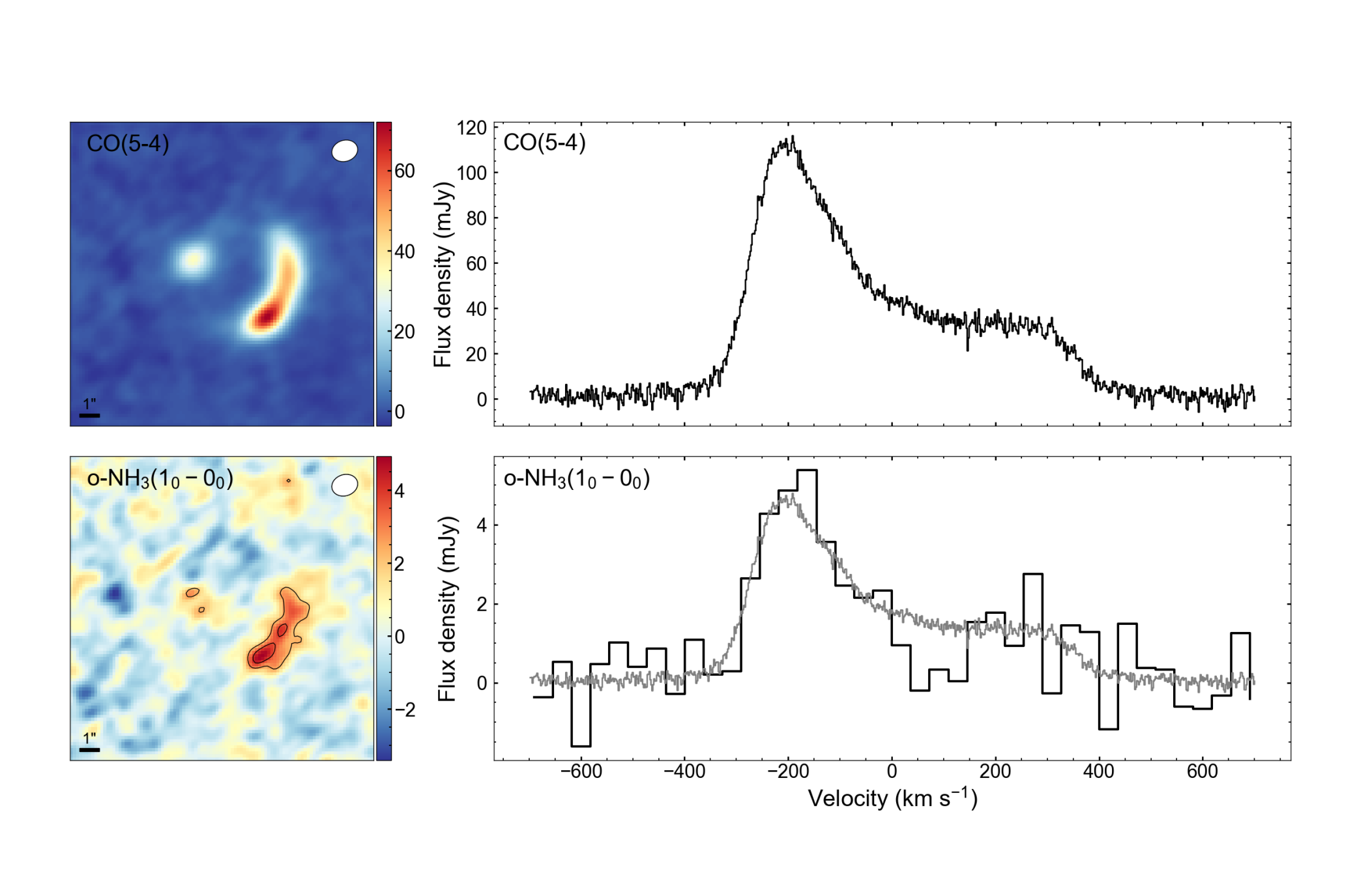 Ammonia In The Interstellar Medium Of A Starbursting Disc At z=2.6