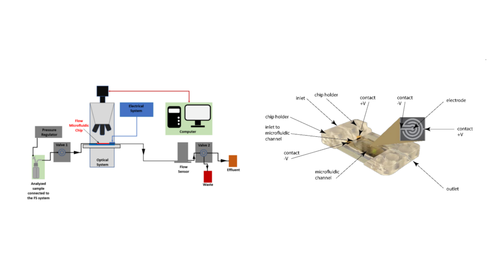 Direct In-Situ Capture, Separation and Visualization of Biological Particles with Fluid-Screen in the Context of Venus Life Finder Mission Concept Study