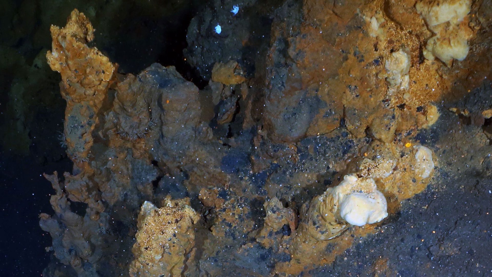 Hydrothermal Vent Site Expands The Estimates Of Seafloor Mineral Deposits