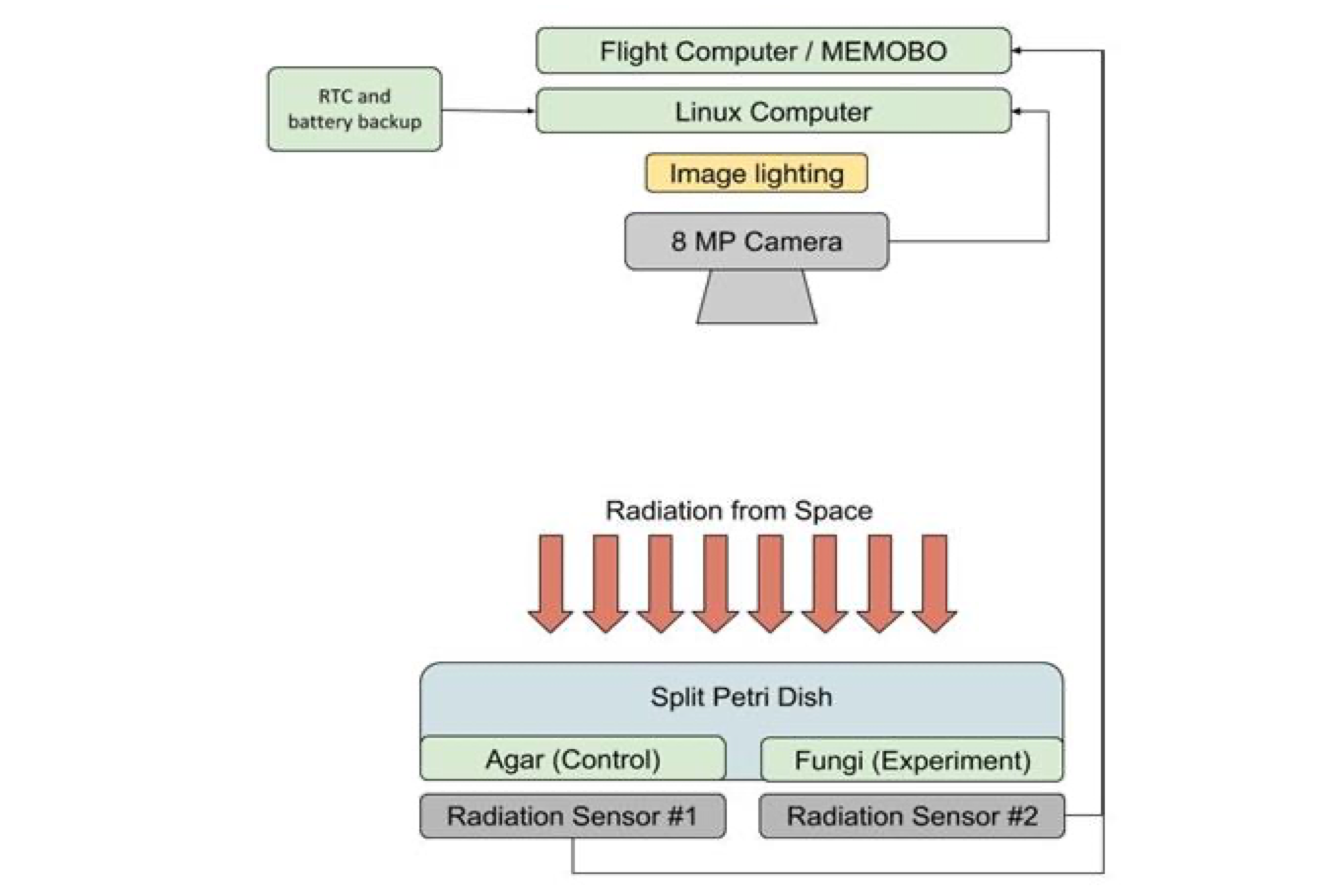 A Self-Replicating Radiation-Shield for Human Deep-Space Exploration