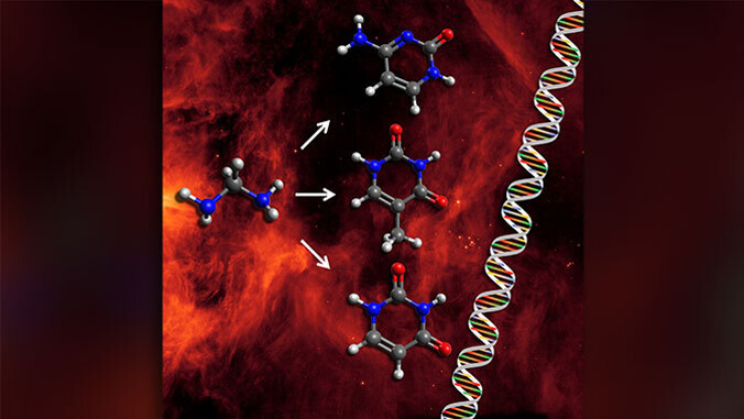 Building Blocks To DNA And RNA In Deep Space Conditions Produced In A Laboratory