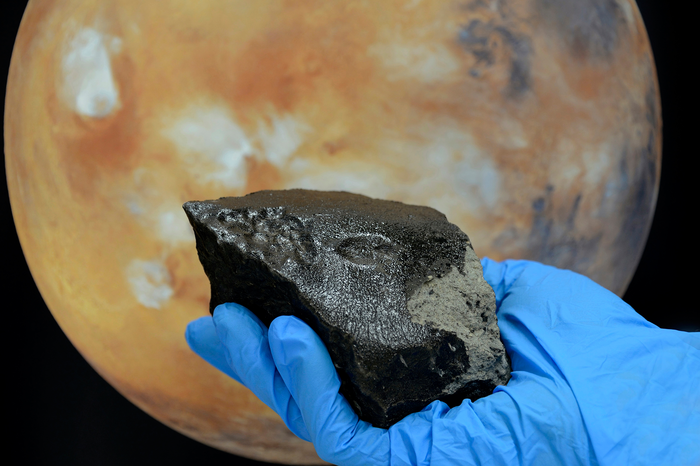 Martian Meteorite Tissint Contains A Large Diversity Of Organic Compounds