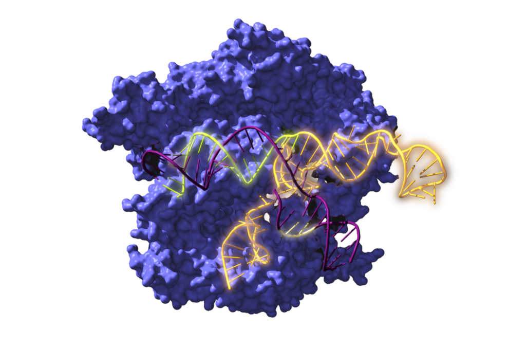 2.6 Billion-year-old Ancestors Of The CRISPR Gene-editing Tool Have Been Resurrected