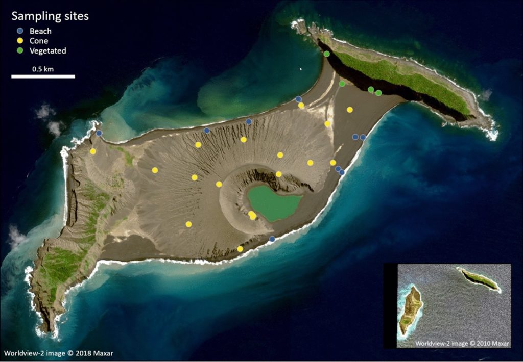 Rare Opportunity To Study Short-lived Volcanic Island Reveals Sulfur-metabolizing Microbes