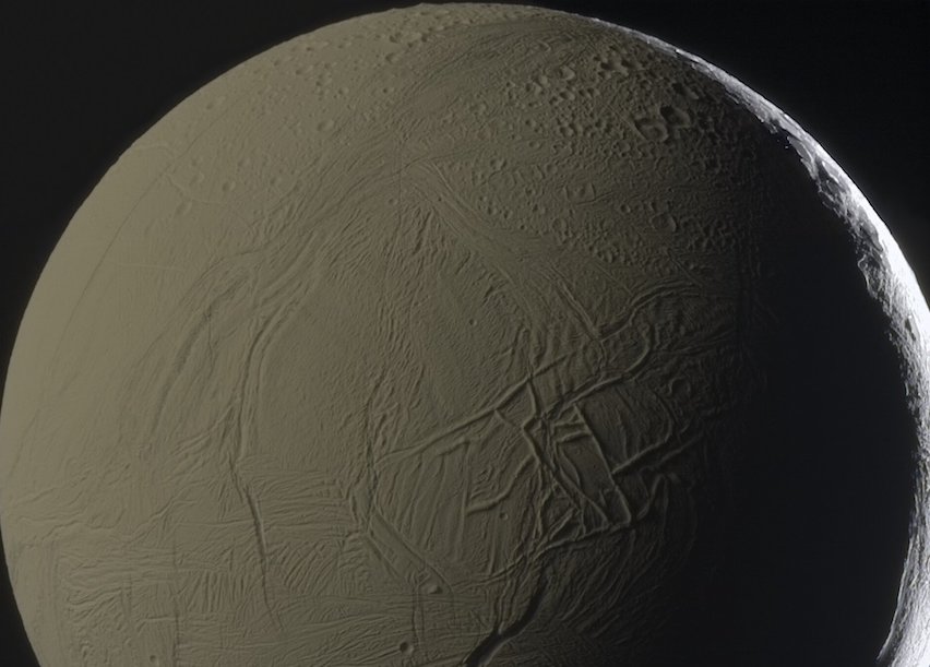 The Behavior of Organics in Rapidly Frozen Brine With Relevance To Enceladus