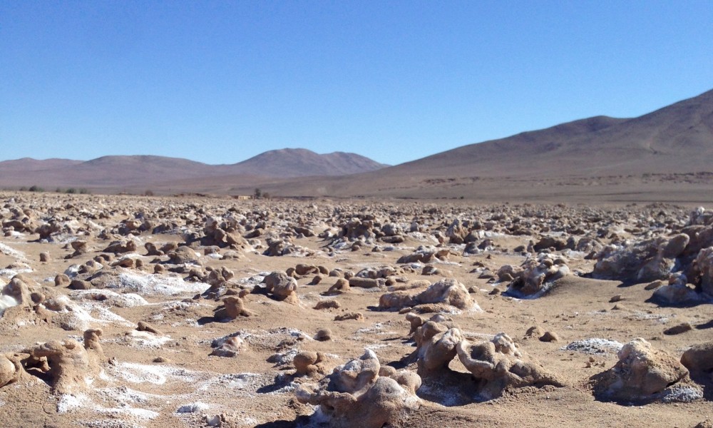 Deadline Extended for Lewis & Clark Fund for Exploration & Field Research in Astrobiology