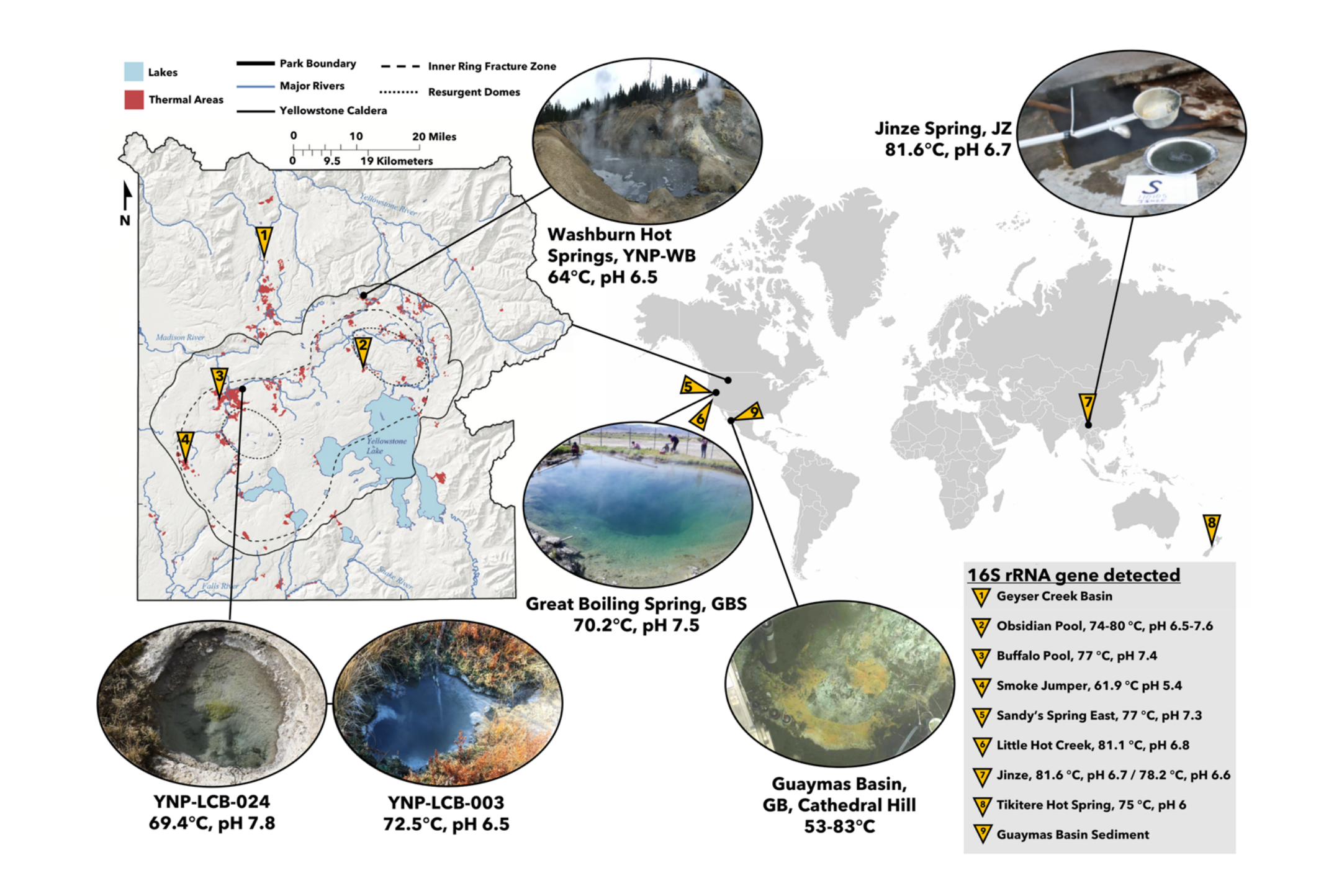 Culexarchaeia, A Novel Archaeal Class Of Anaerobic Generalists Inhabiting Geothermal Environments