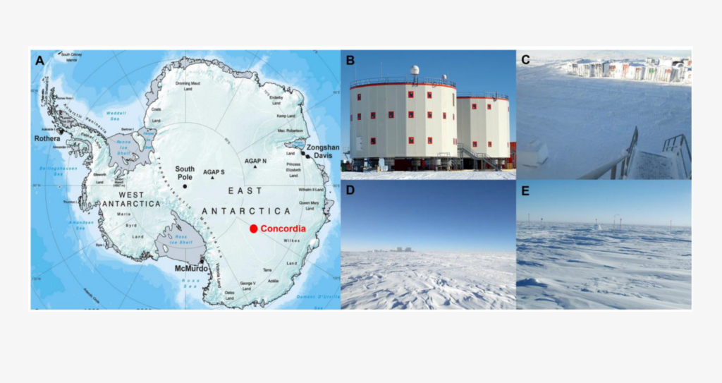 Surface Microbial Diversity at the Detection Limit within the Vicinity of the Concordia Station, Antarctica
