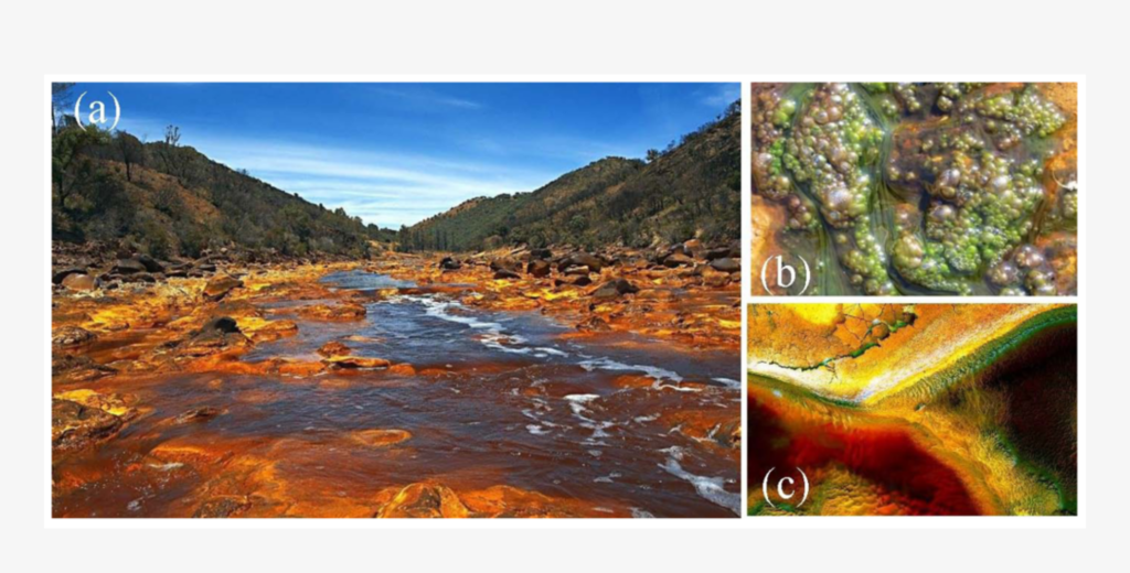 Río Tinto’s Eukaryotes In Extreme Acidic Environments