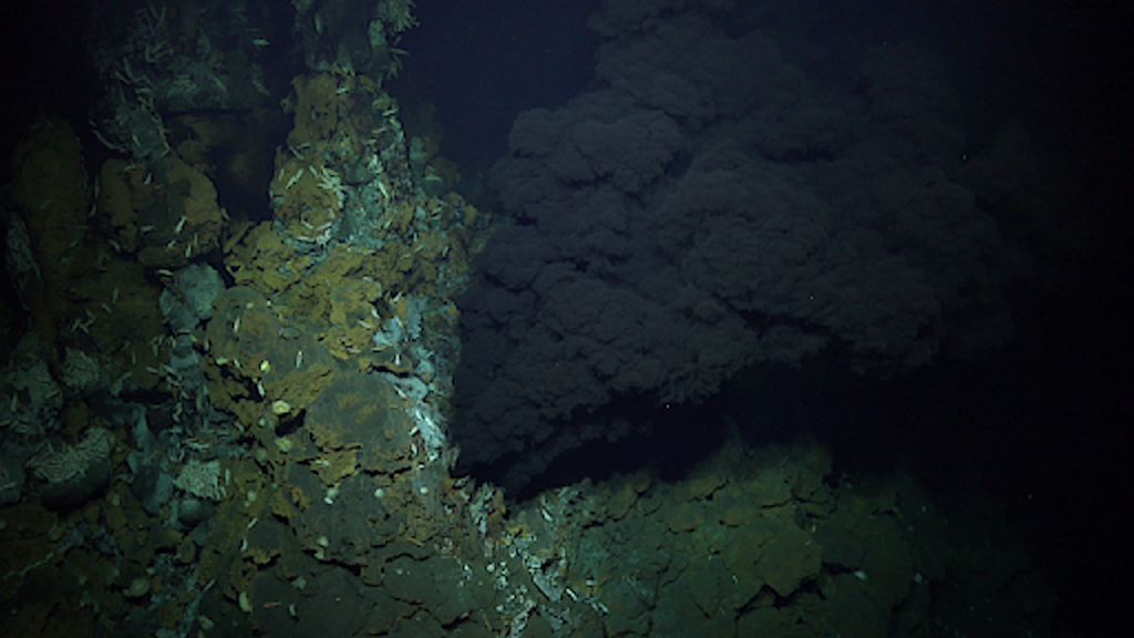 Hydrothermal Activity Discovered Along The Puy de Folles Vent Field