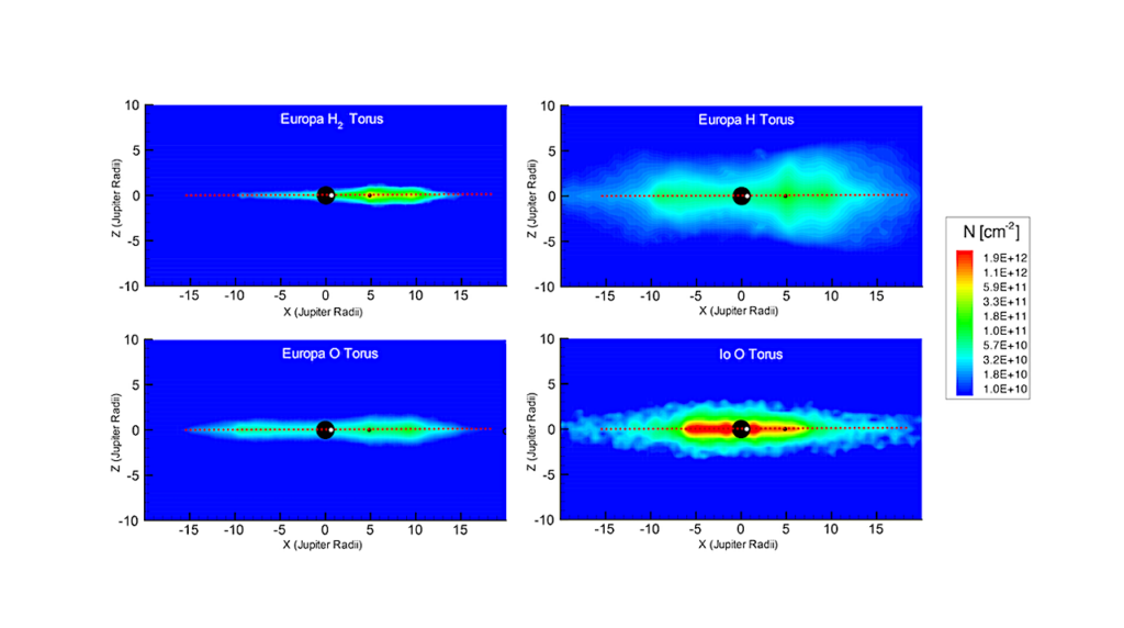 Constraints On Europa’s Water Group Torus From HST/COS Observations