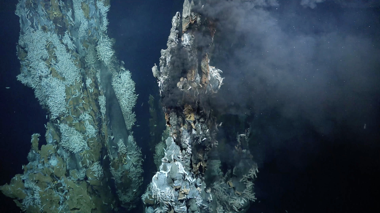 Away Team Report: New Hydrothermal Vent Fields Discovered On Earth’s Mid-Atlantic Ridge