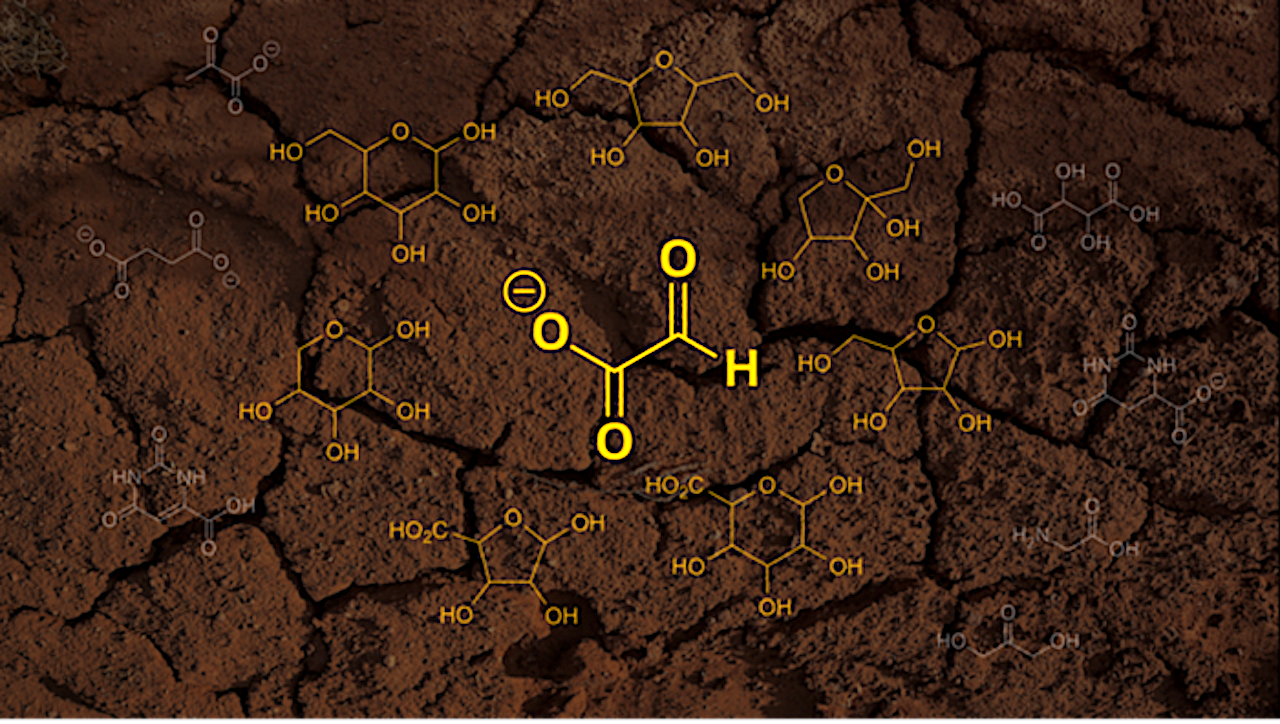 How Could Life Evolve From Cyanide?