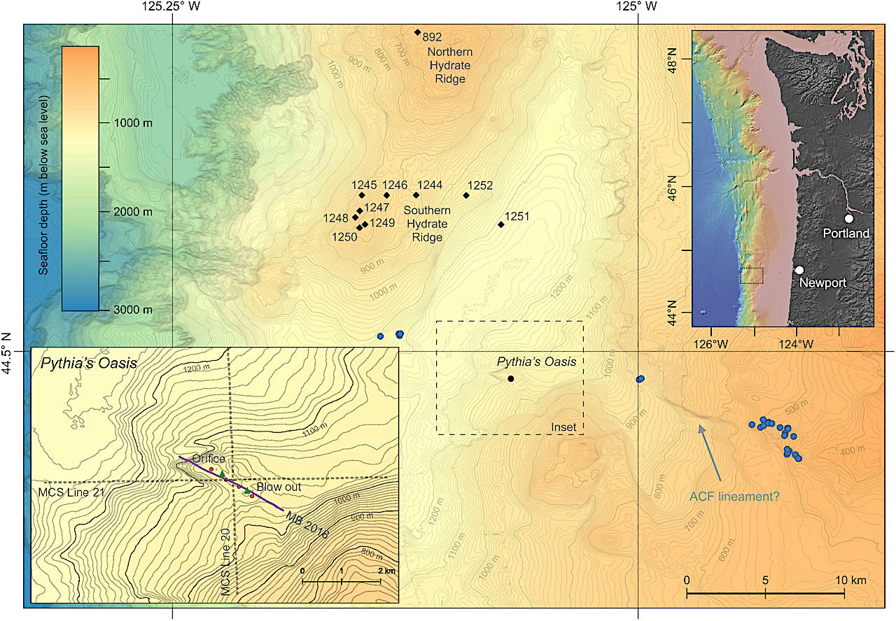 Pythia’s Oasis Has Warm liquid Spewing From The Seafloor Offering Clues