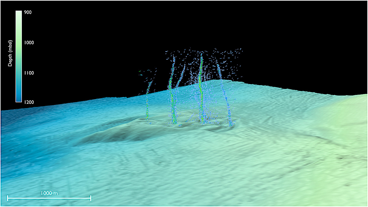 Pythia’s Oasis Has Warm liquid Spewing From The Seafloor Offering Clues To Earthquake Hazards