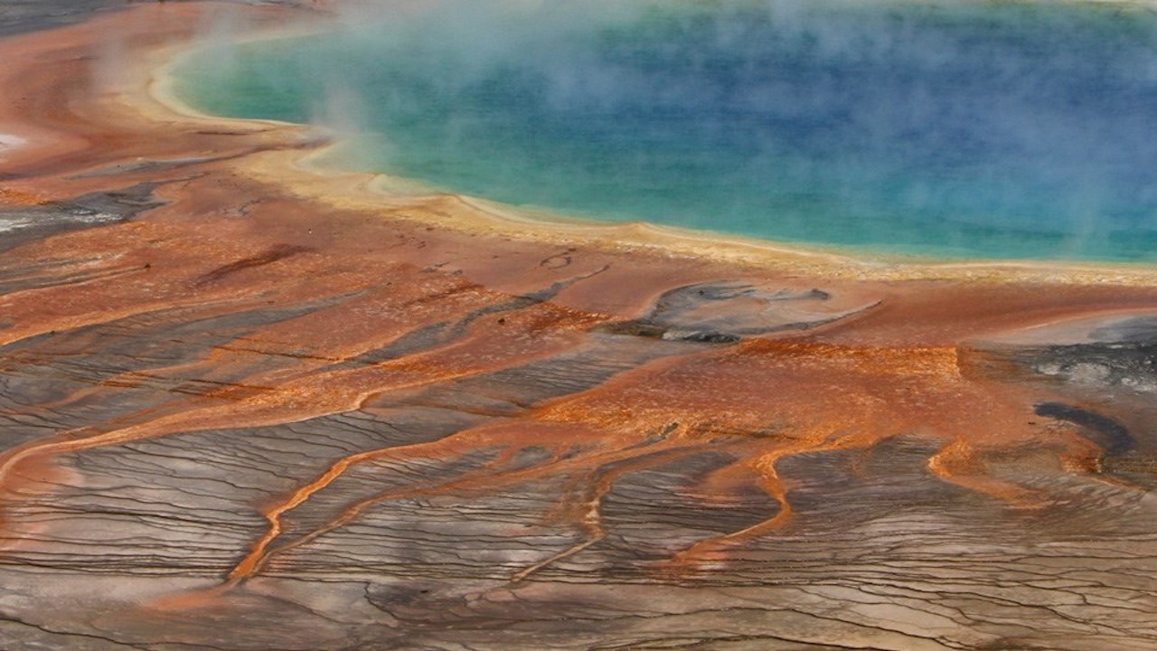 How Geobiological Feedback Makes Some Yellowstone Hydrothermal Pools Acidic