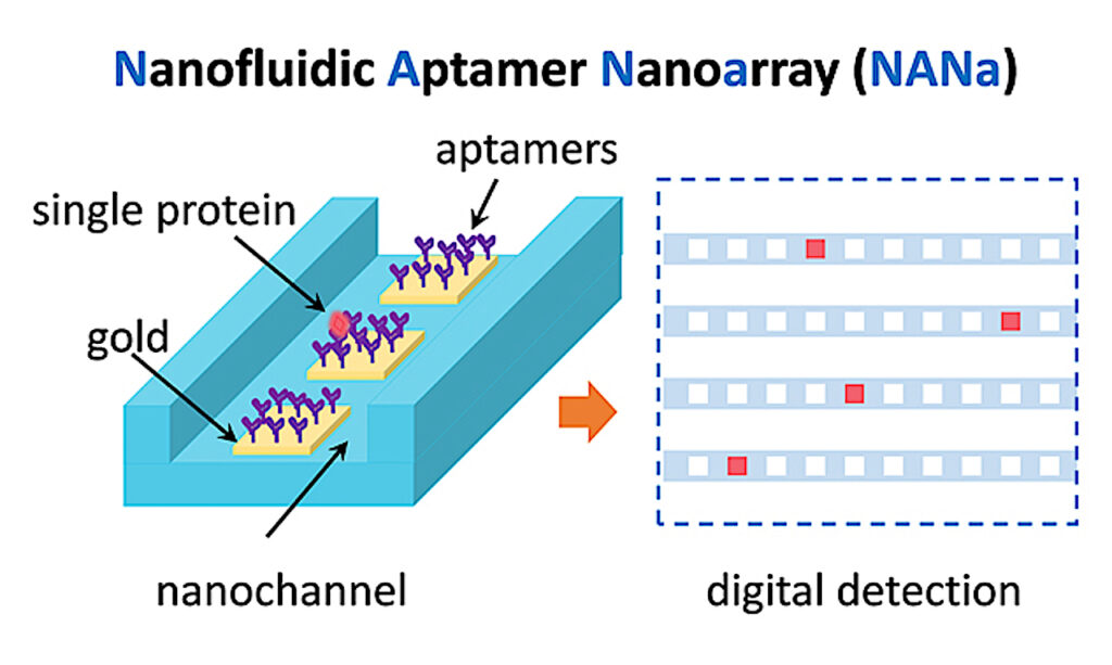 Tricorder Tech: Precision Medicine: Nanofluidic Aptamer Nanoarray Measures Individual Proteins