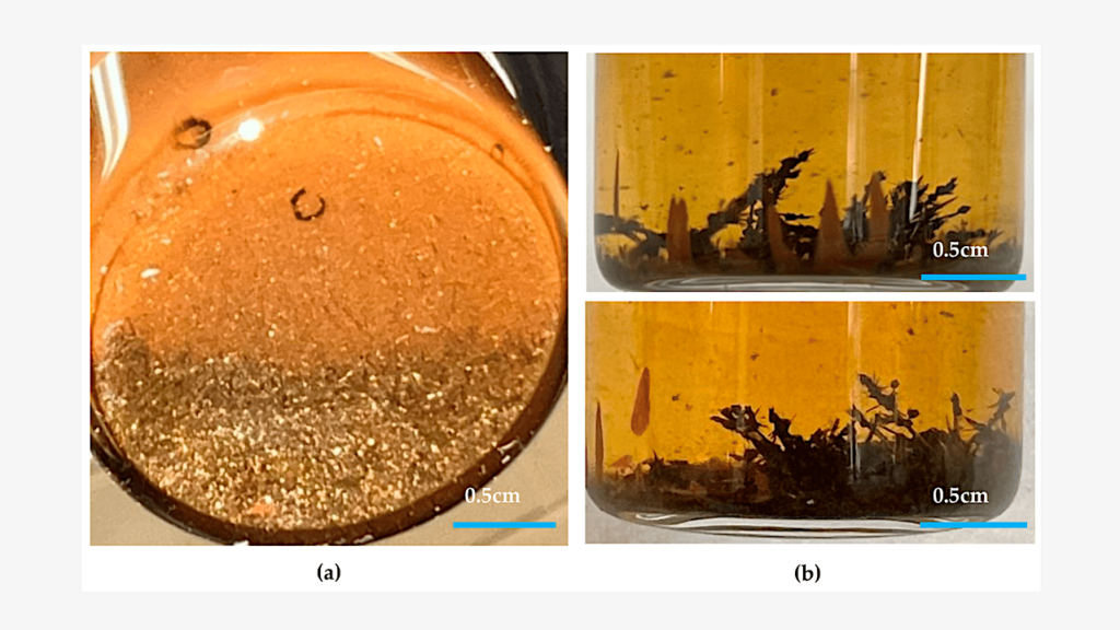 Metal Catalysis Acting on Nitriles in Early Earth Hydrothermal Systems