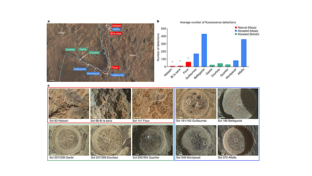 A New Study Reveals Evidence Of Diverse Organic Material On Mars