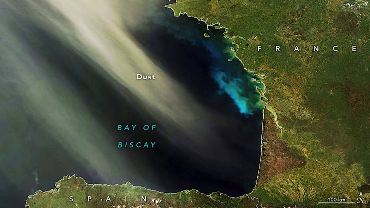 How Desert Dust Nourishes The Growth Of Phytoplankton In Earth’s Oceans