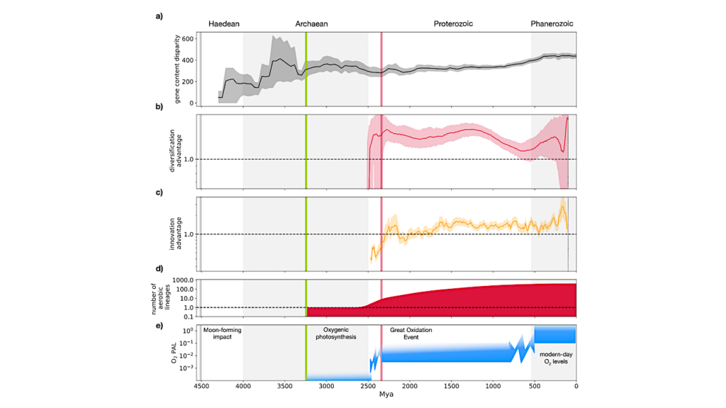 An Evolutionary Timescale For Bacteria Calibrated Using The Great Oxidation Event