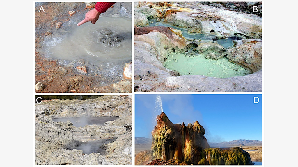 Template-Directed Replication and Chiral Resolution during Wet–Dry Cycling in Hydrothermal Pools