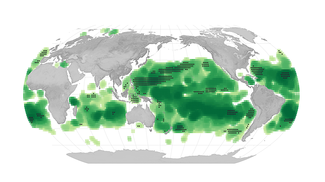 Biofirmas globales: el cambio climático aporta un nuevo color al océano de la Tierra
