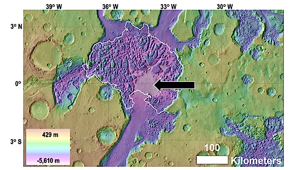 Searching For Concentrated Biosignatures In An Ancient Martian Mud Lake