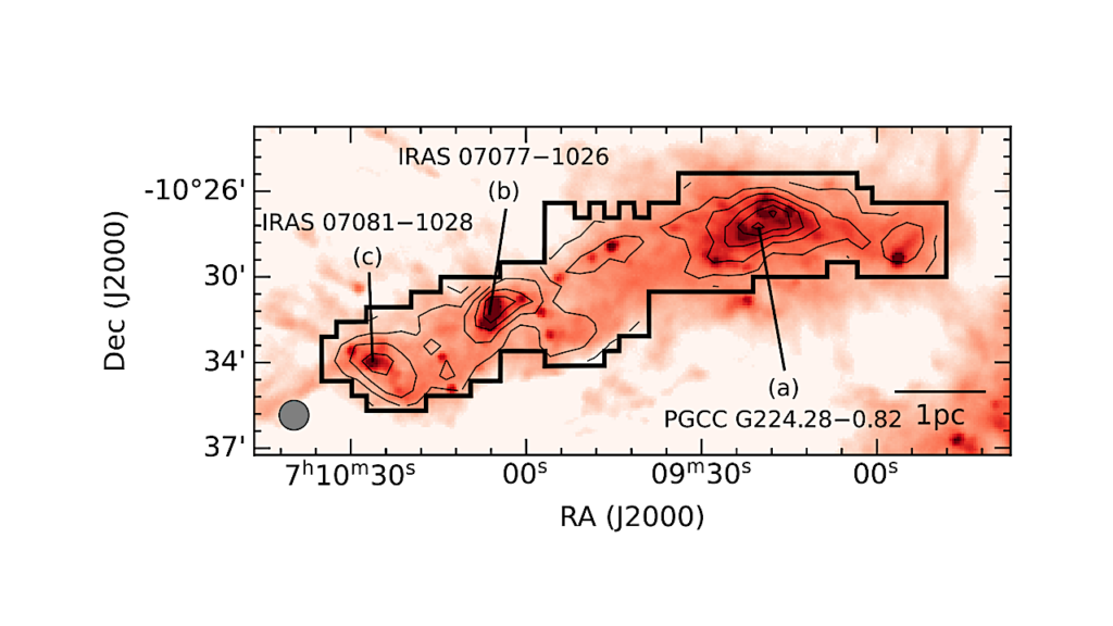 KAgoshima Galactic Object Survey With Nobeyama 45-metre Telescope by Mapping in Ammonia Lines (KAGONMA): Discovery of Parsec-scale CO Depletion in the Canis Major Star-forming Region