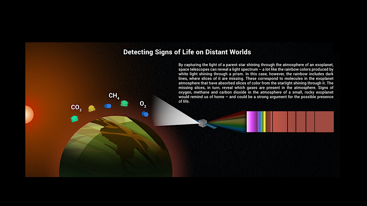 Life On Other Planets: What Is Life And What Does It Need?