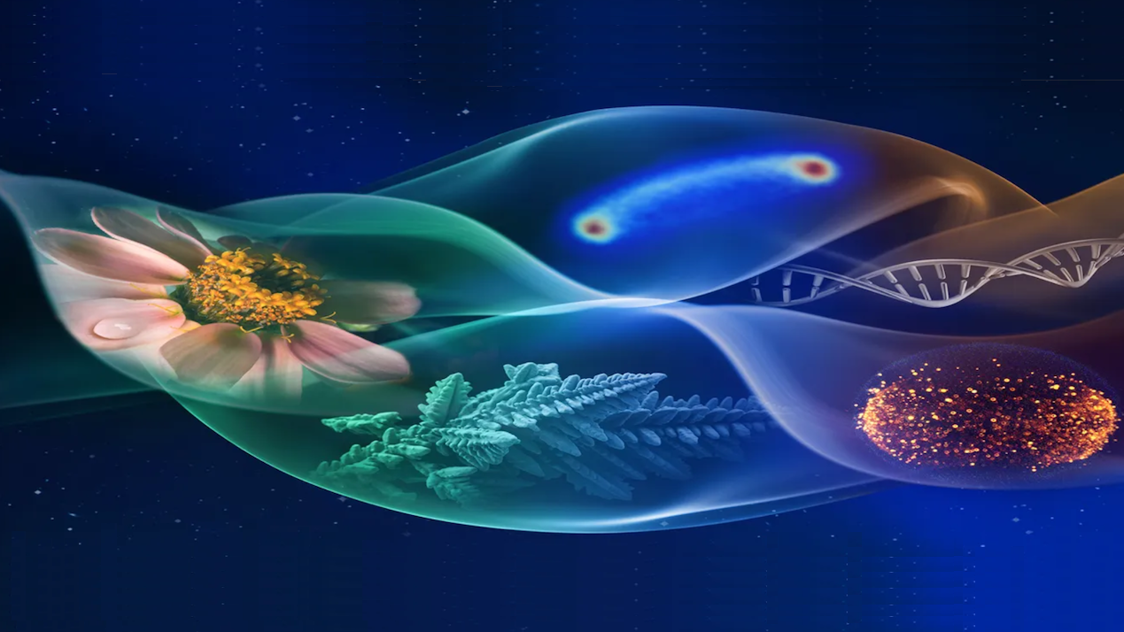nasa-selects-11-space-biology-research-projects-to-inform-biological