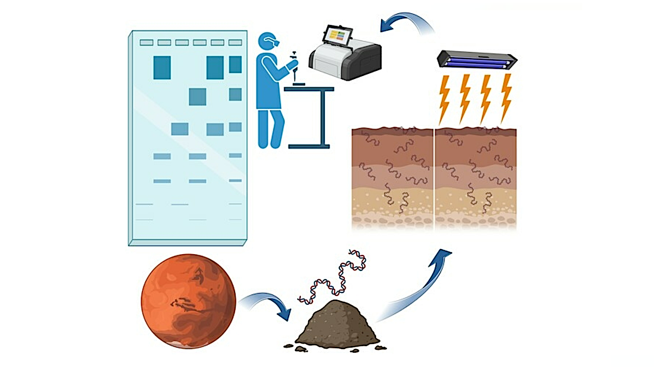Desarrollo de métodos sensibles para detectar concentraciones mínimas de ADN en suelo marciano simulado