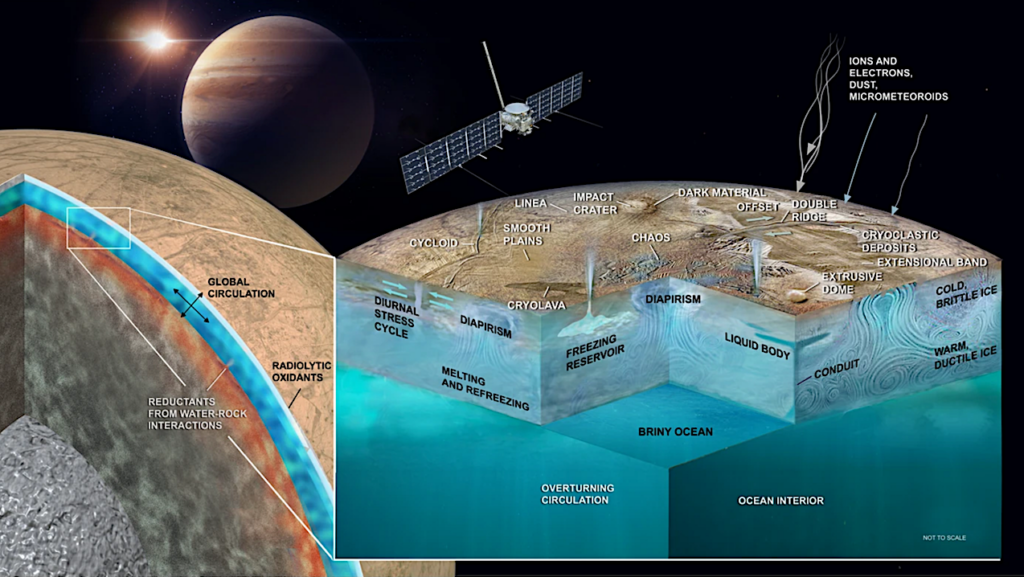 Investigating Europa’s Habitability with the Europa Clipper