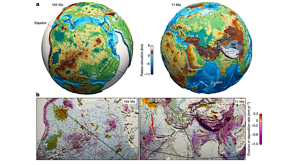 Planetary Landscape Dynamics Determined The Evolution Of Biodiversity On Earth