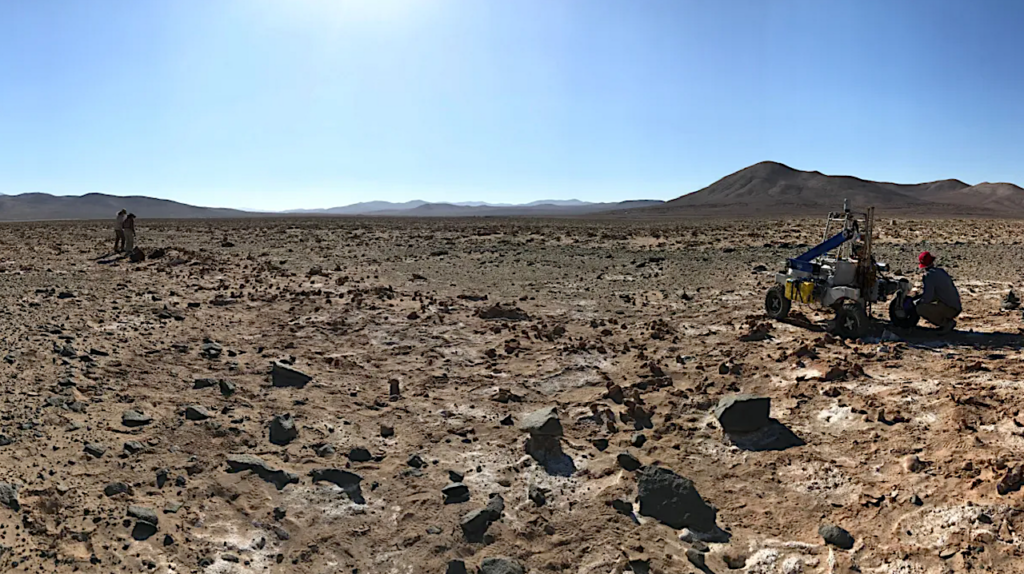 Life Detection and Microbial Biomarker Profiling with Signs of Life Detector-Life Detector Chip During a Mars Drilling Simulation Campaign in the Hyperarid Core of the Atacama Desert