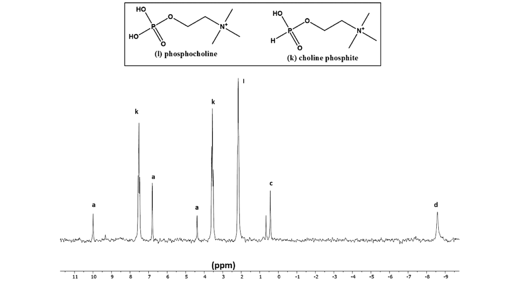 Prebiotic Syntheses of Organophosphorus Compounds from Reduced Source of Phosphorus in Non-Aqueous Solvents