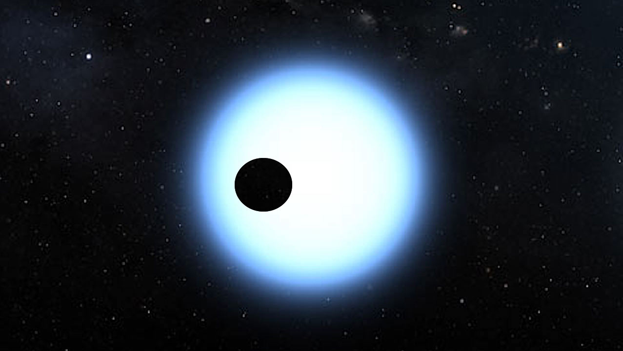 The Giant Nature Of WD 1856 b Implies That Transiting Rocky Planets Are Rare Around White Dwarfs