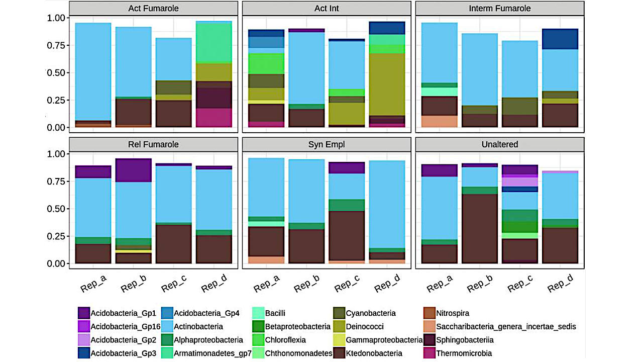 A Low-Diversity Microbiota Inhabits Extreme Terrestrial Basaltic Terrains and Their Fumaroles: Implications for the Exploration of Mars