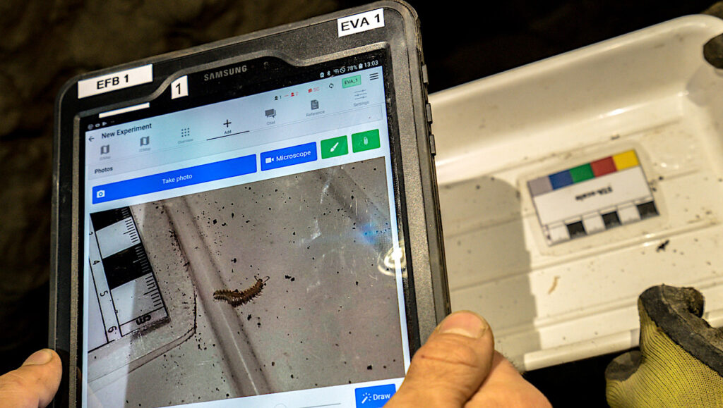 ESA Away Team Training: Tricorders Detect Underground Life