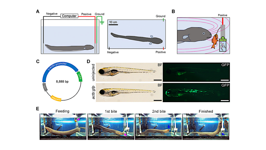 Microbial space travel on a molecular scale: How extremophilic