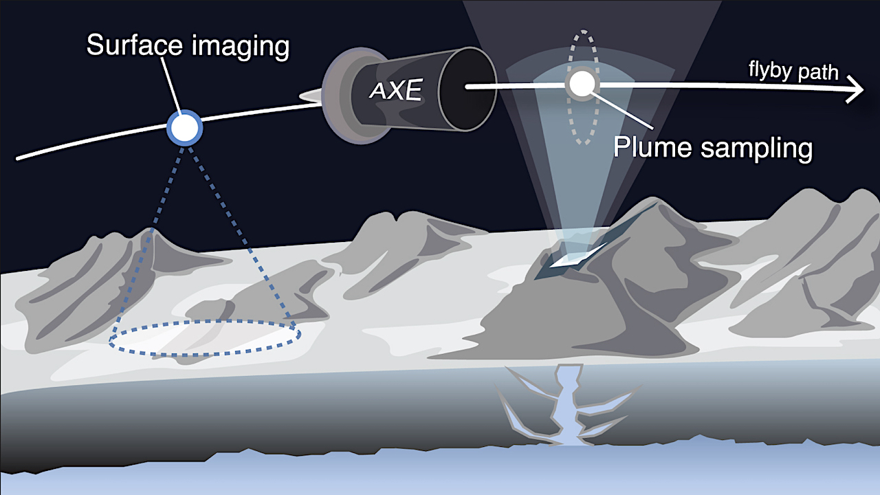 Astrobiology eXploration at Enceladus (AXE): A New Frontiers Mission Concept Study
