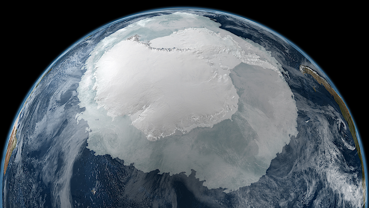 Uso de la genética para rastrear la historia del planeta helado: el ADN del pulpo revela el colapso de la capa de hielo de la Antártida occidental durante la última glaciación