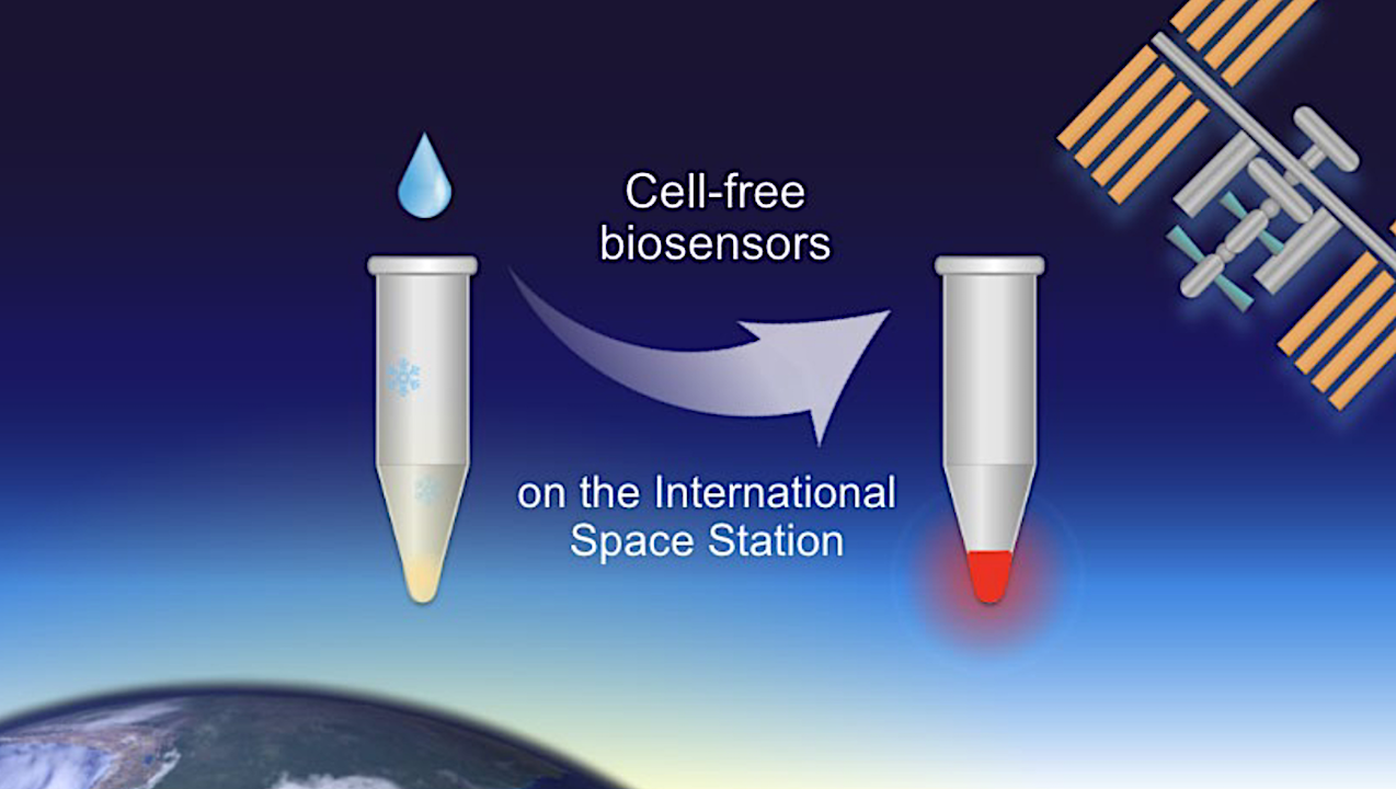 Validation Of Cell-free Protein Synthesis Aboard The International Space Station